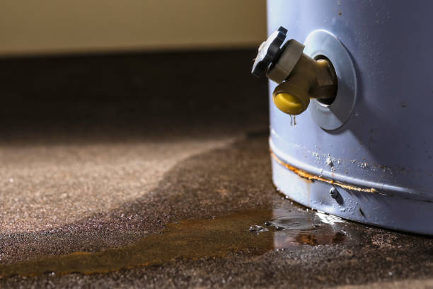 Best 24-hour water damage restoration  in Buda, TX