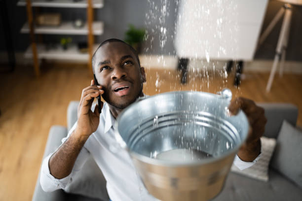 Best Carpet water damage restoration  in Buda, TX