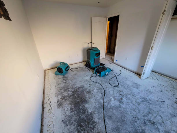 Best Flood restoration services  in Buda, TX