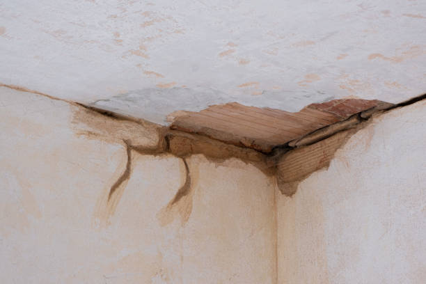 Best Water damage restoration near me  in Buda, TX