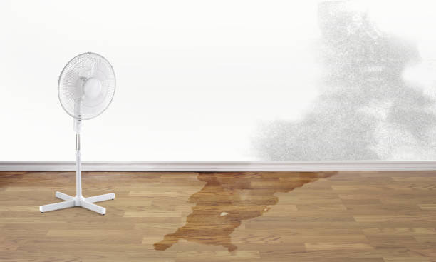 Best Water damage contractors near me  in Buda, TX