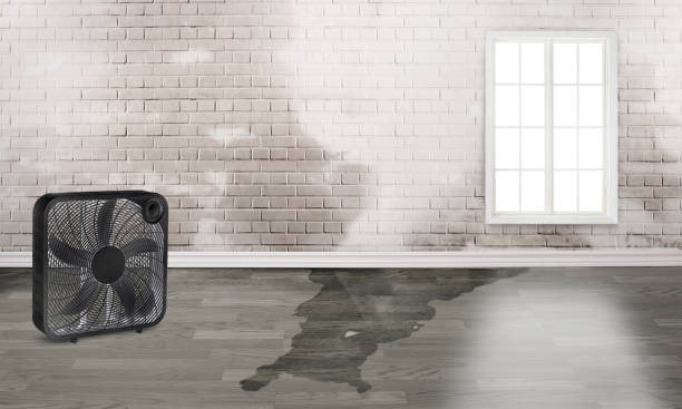 Trusted Buda, TX Water damage restoration Experts