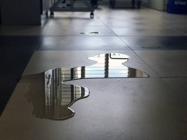 Best Water damage restoration near me  in Buda, TX