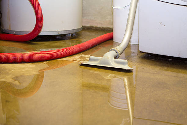 Best Water damage cleanup near me  in Buda, TX