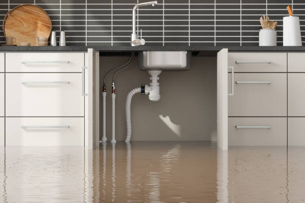 Best Commercial water damage restoration  in Buda, TX