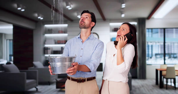 Best Carpet water damage restoration  in Buda, TX